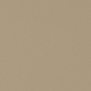 Plain Beige